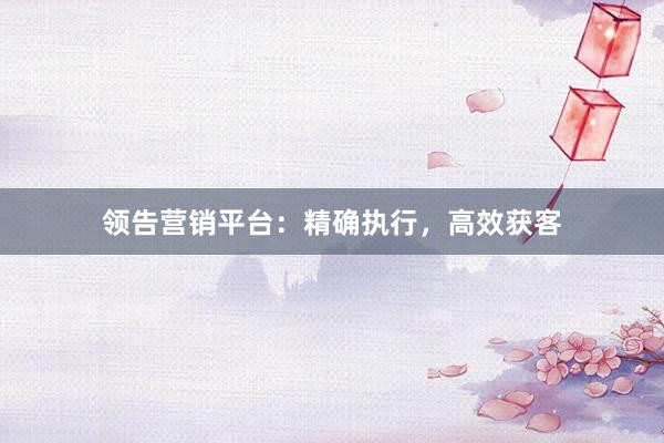 领告营销平台:精确执行,高效获客